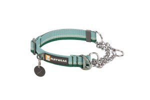 Chain Reaction Martingale Dog Collar