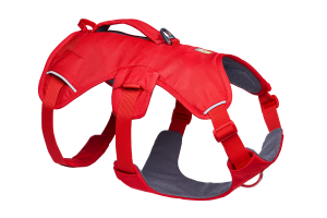Web Master Dog Harness with Handle