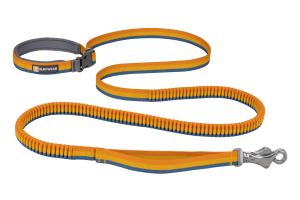 Roamer Bungee Dog Leash