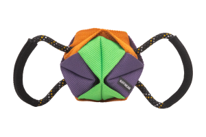 Webbing Remix Dog Tug Toy